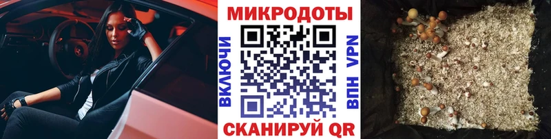купить  сайты  Кизел  Галлюциногенные грибы Psilocybe 